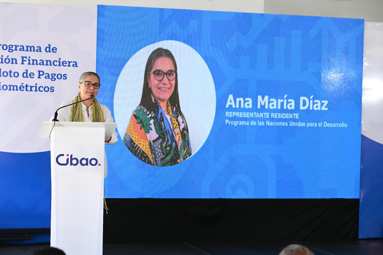 Ana Maria Diaz, Representante del programa de las naciones unidas
